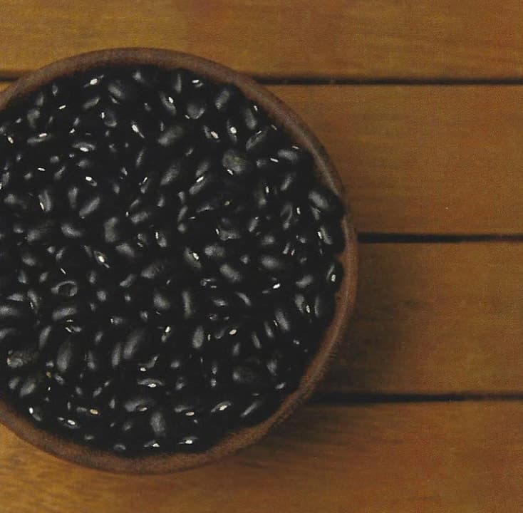 검은콩